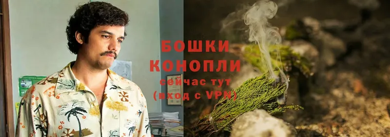 Бошки марихуана THC 21%  Уржум 